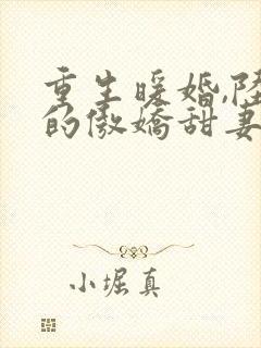 重生暖婚,陆少的傲娇甜妻,