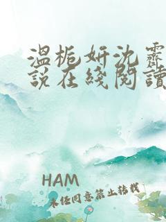 温栀妍沈霁寒小说在线阅读