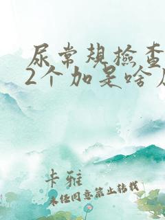 尿常规检查潜血2个加是啥原因引起的