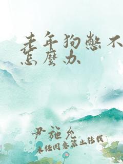 老年狗憋不住尿怎么办