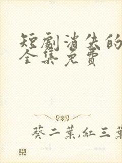 短剧消失的厨神全集免费