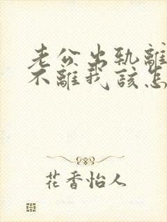 老公出轨离婚他不离我该怎么办