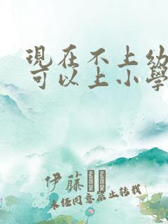 现在不上幼儿园可以上小学吗