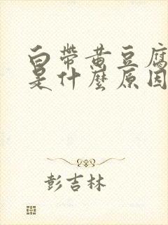 白带黄豆腐渣状是什么原因