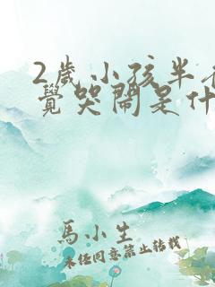 2岁小孩半夜睡觉哭闹是什么原因