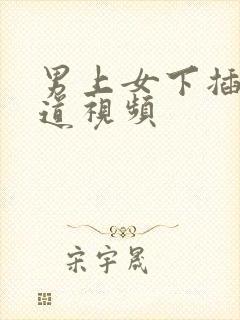 男上女下插进阴道视频