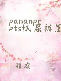 pananprets纸尿裤怎么样
