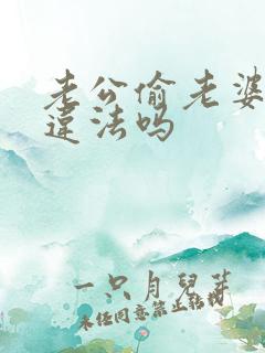 老公偷老婆的钱违法吗