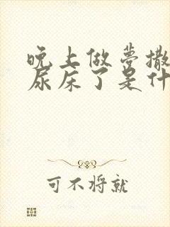 晚上做梦撒尿就尿床了是什么原因