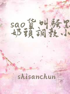 sao货叫骚点奶头调教小说