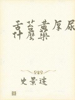 舌苔黄厚尿黄吃什么药