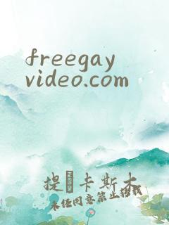 freegayvideo.com