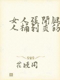 女人张开腿让男人桶到爽的视频