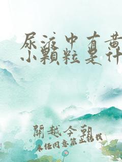 尿液中有黄色的小颗粒是什么原因