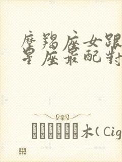 摩羯座女跟哪个星座最配对