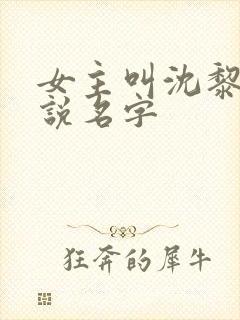 女主叫沈黎的小说名字