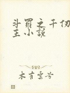 斗罗之千仞雪女主小说