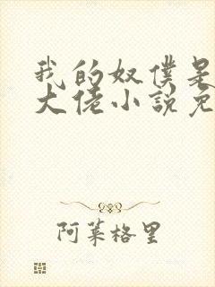 我的奴仆是京圈大佬小说免费阅读