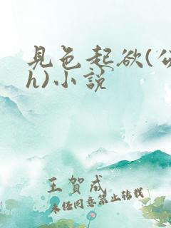 见色起欲(公媳h)小说