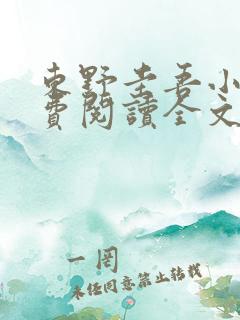 东野圭吾小说免费阅读全文