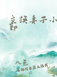 交换妻子小说章节