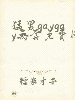 猛男gaygay无套免费网站