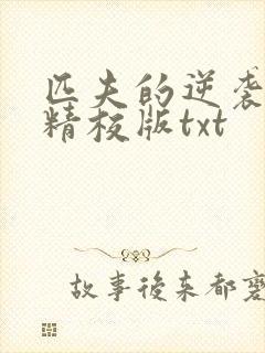 匹夫的逆袭完整精校版txt