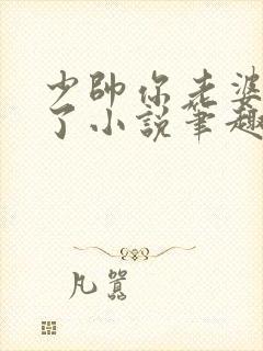 少帅你老婆又跑了小说笔趣阁