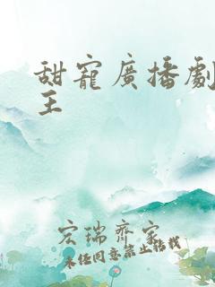 甜宠广播剧双男主