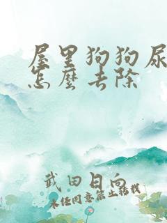 屋里狗狗尿骚味怎么去除