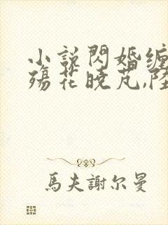 小说闪婚缠情成殇花晓芃,陆谨言