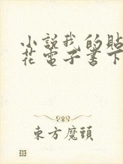 小说我的贴身校花电子书下载唐宇