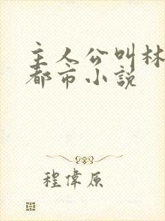 主人公叫林北的都市小说