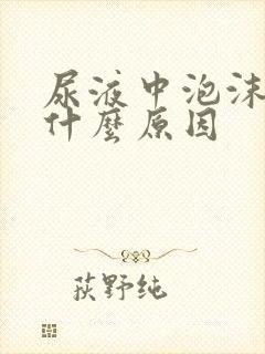 尿液中泡沫大是什么原因