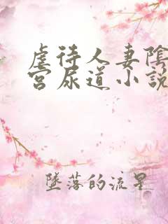 虐待人妻阴道子宫尿道小说