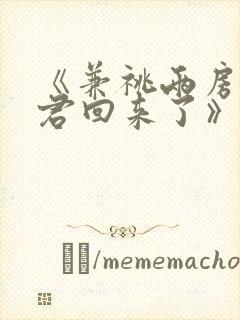 《兼祧两房后夫君回来了》