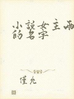 小说女主两个字的名字