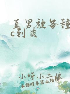 直男被各种姿势c到爽