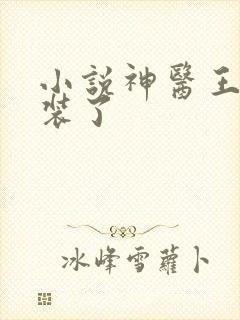 小说神医王妃别装了