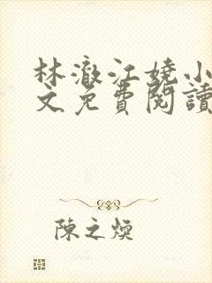 林澈江娆小说全文免费阅读