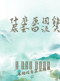 什么原因能引起尿蛋白流失