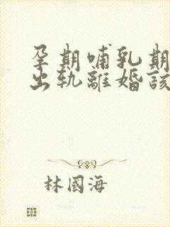 孕期哺乳期老公出轨离婚该怎么赔偿