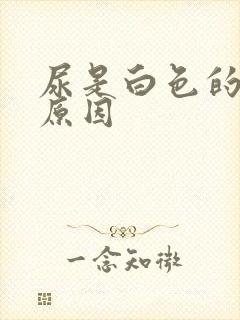 尿是白色的什么原因