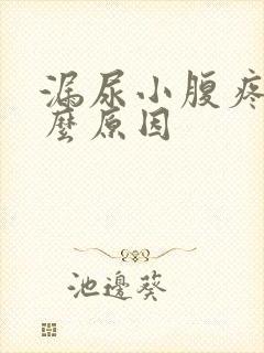 漏尿小腹疼是什么原因