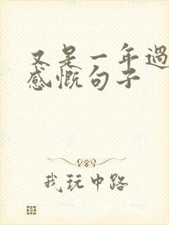 又是一年过去了感慨句子