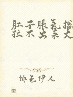 肚子胀气总放屁拉不出来大便