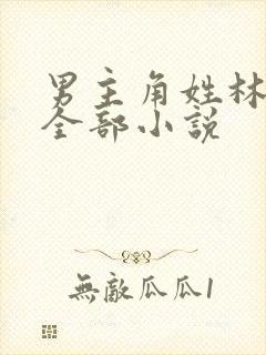 男主角姓林辰的全部小说