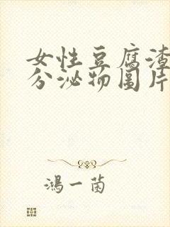 女性豆腐渣样的分泌物图片