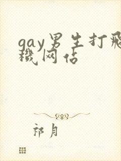 gay男生打飞机网站