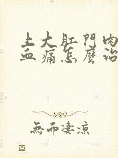 上大肛门肉球出血痛怎么治疗